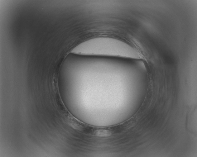 X0000073530169200607311024