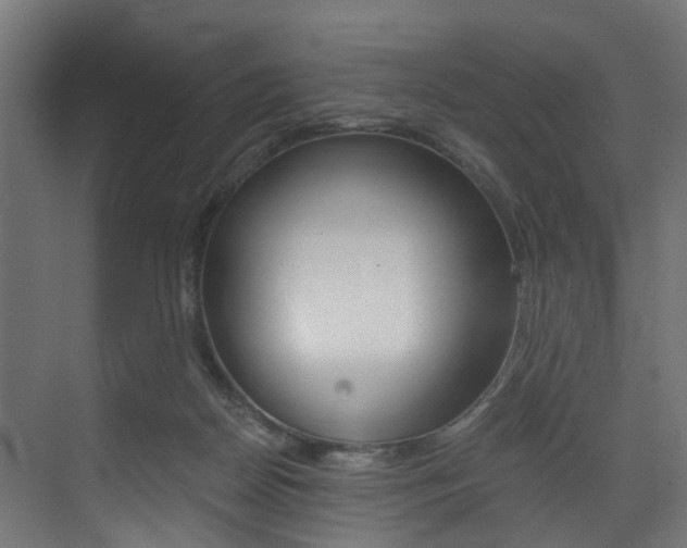 X0000073530170200607311025