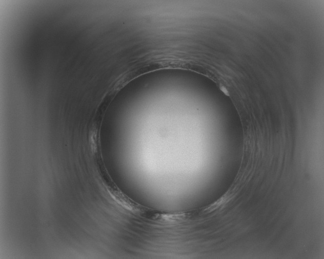 X0000073530188200607311025