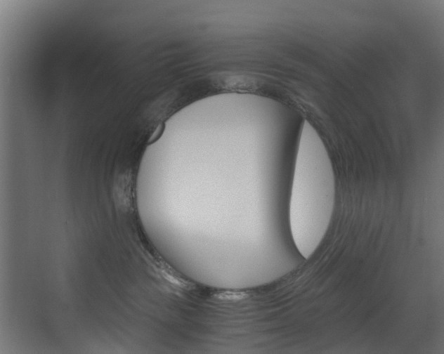 X0000073530189200607311025