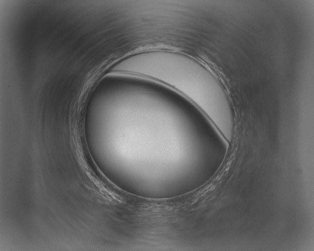 X0000073530193200607311024