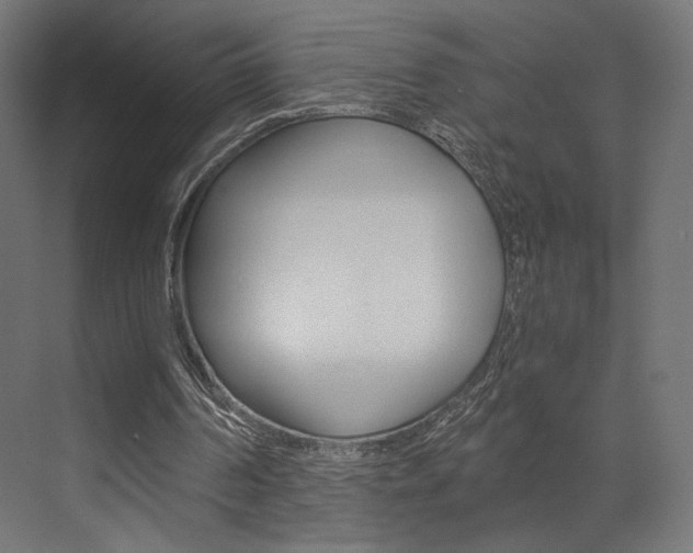 X0000073530194200607311024