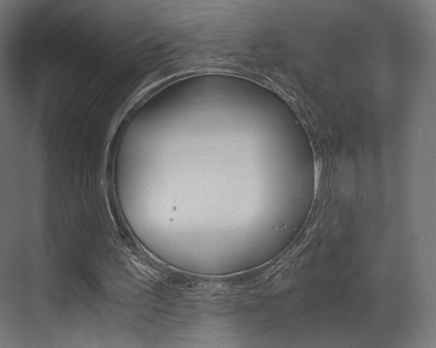 X0000073530195200607311024