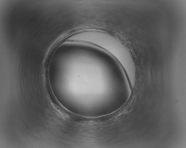 X0000073530197200607311024