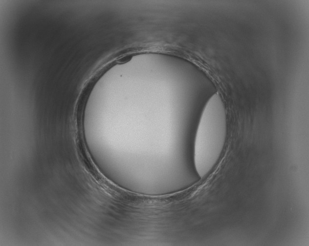 X0000073530198200607311024