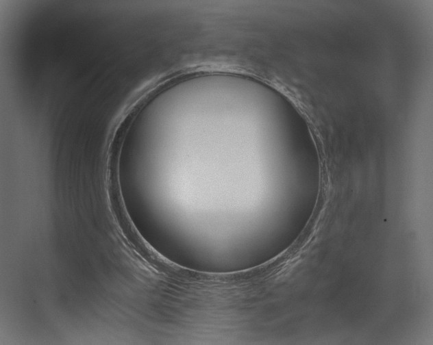 X0000073530199200607311024
