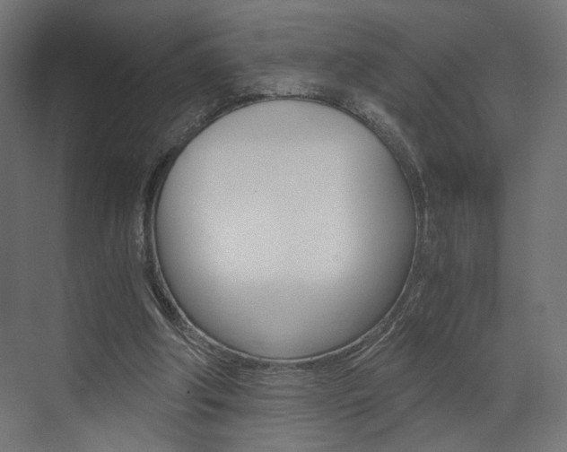 X0000073530202200607311024