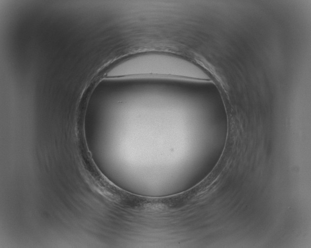 X0000073530203200607311024