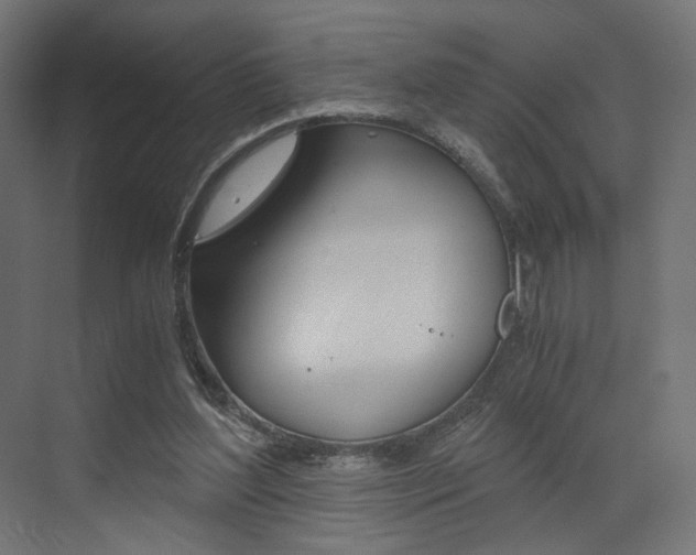 X0000073530204200607311024