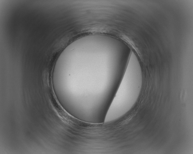 X0000073530205200607311024