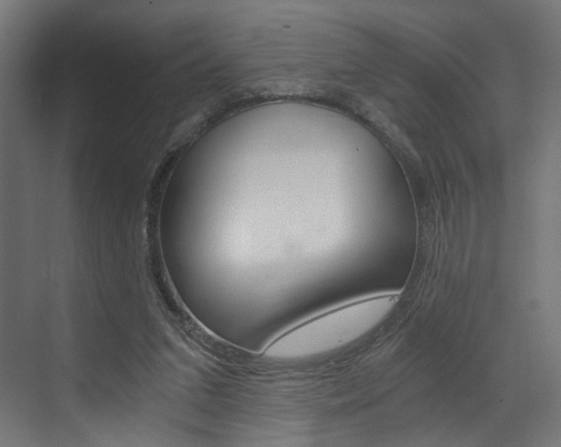 X0000073530207200607311024