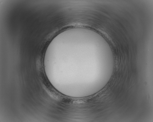 X0000073530208200607311024