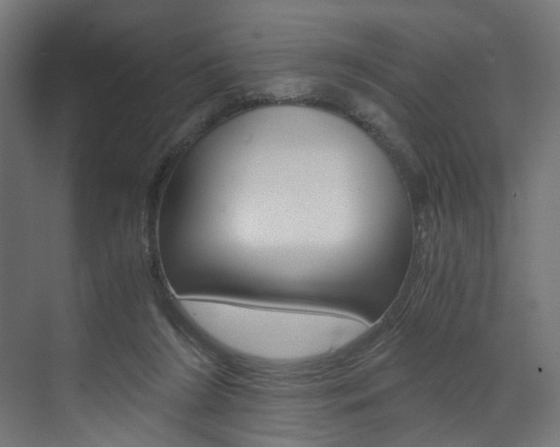 X0000073530212200607311024