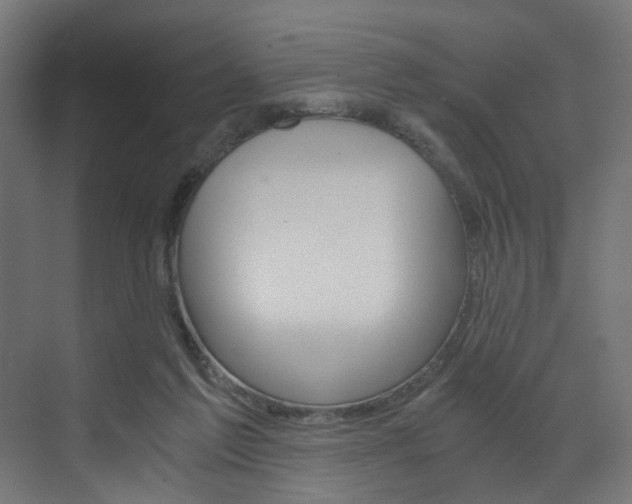X0000073530213200607311024
