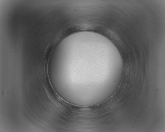 X0000073530214200607311024