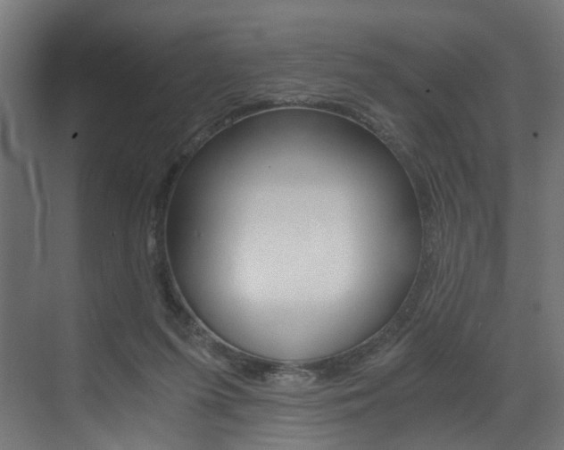 X0000073530215200607311024