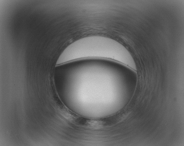 X0000073530221200607311024