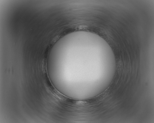 X0000073530222200607311024