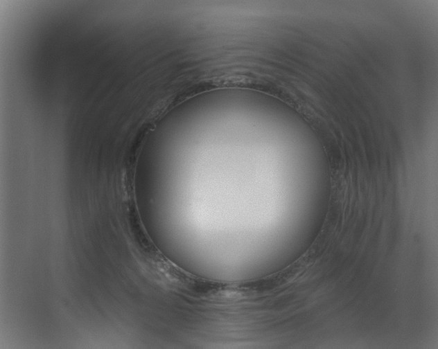 X0000073530224200607311024