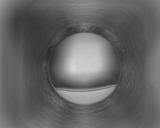 X0000073530225200607311024
