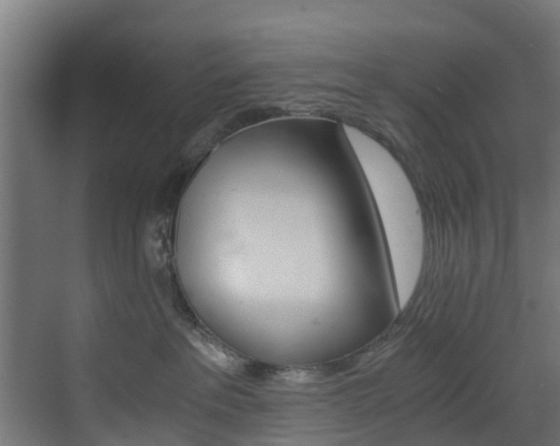 X0000073530237200607311023