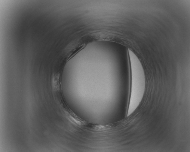 X0000073530239200607311023