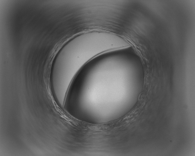 X0000073530241200607311022