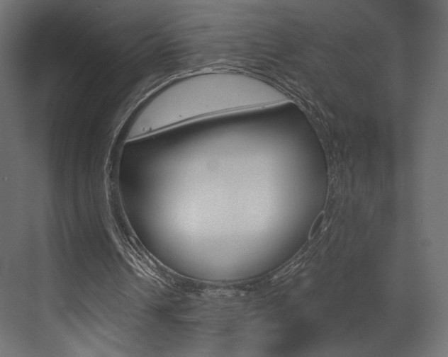 X0000073530242200607311022