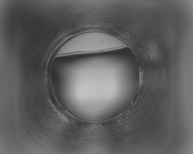 X0000073530243200607311023