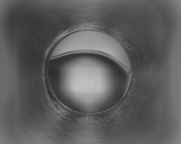 X0000073530244200607311023
