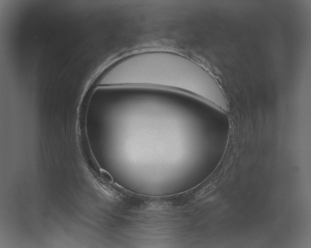 X0000073530248200607311023