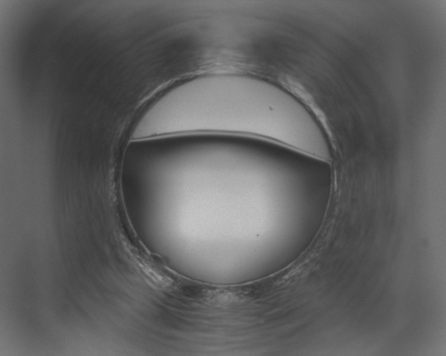 X0000073530249200607311023