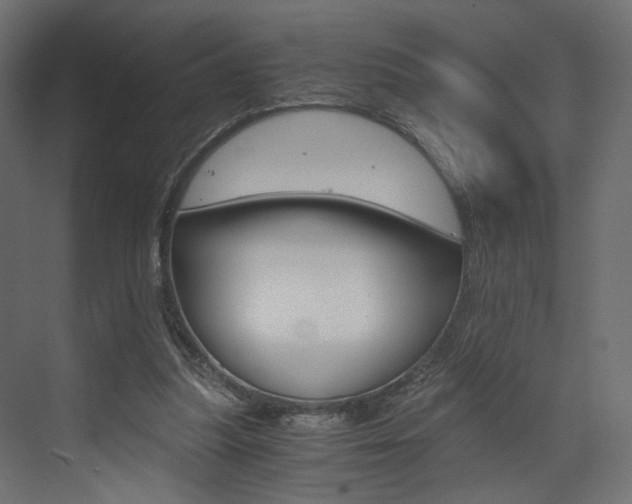 X0000073530251200607311023