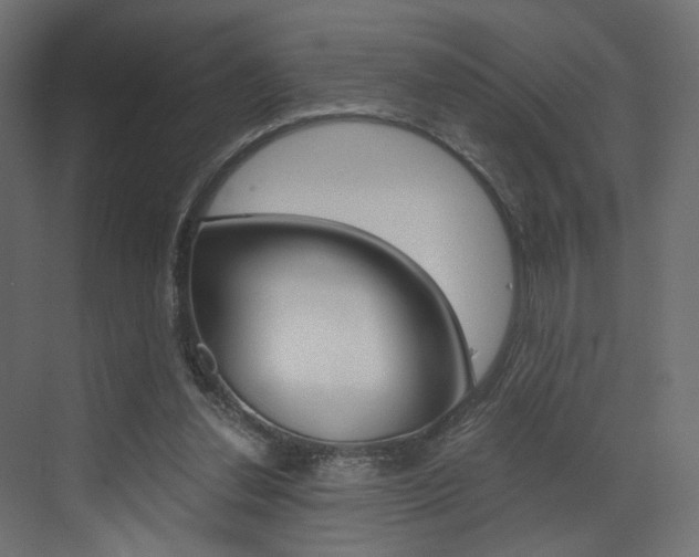X0000073530252200607311023