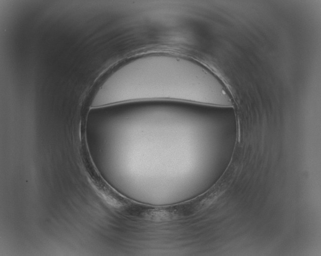 X0000073530253200607311023