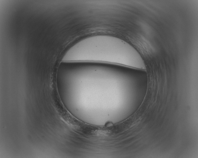 X0000073530255200607311023