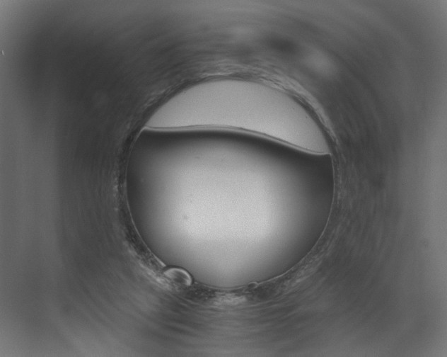 X0000073530257200607311023