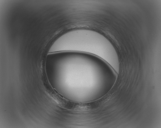 X0000073530260200607311023