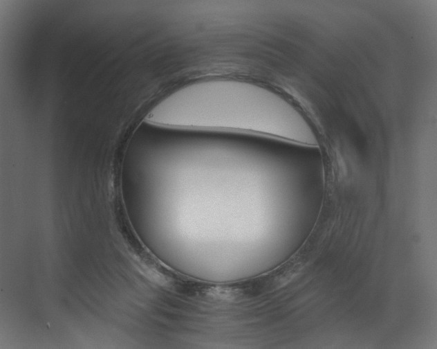 X0000073530261200607311023