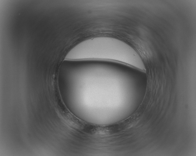 X0000073530263200607311023
