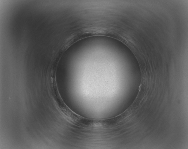 X0000073530264200607311023