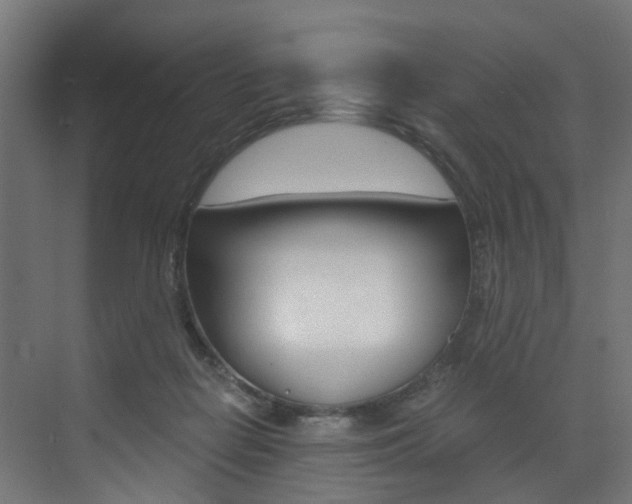 X0000073530266200607311023