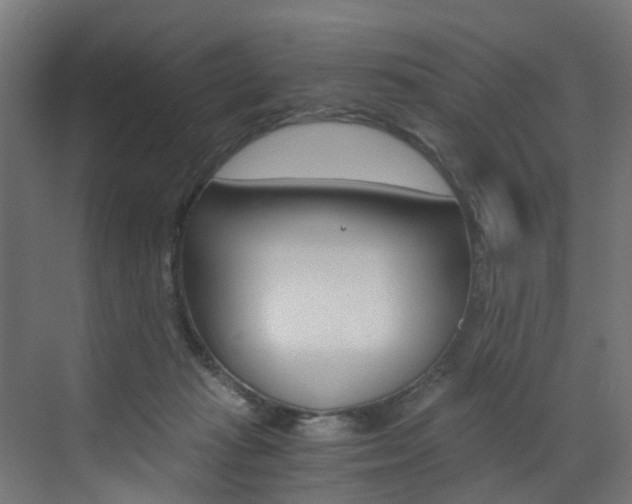 X0000073530269200607311023
