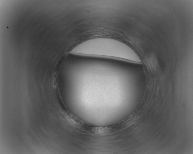 X0000073530273200607311023