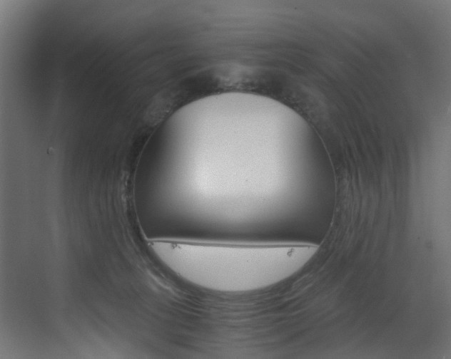 X0000073530275200607311023