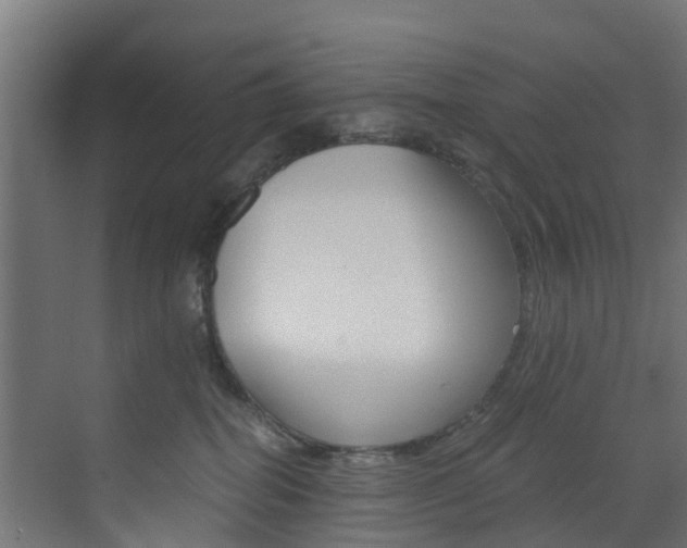 X0000073530282200607311023