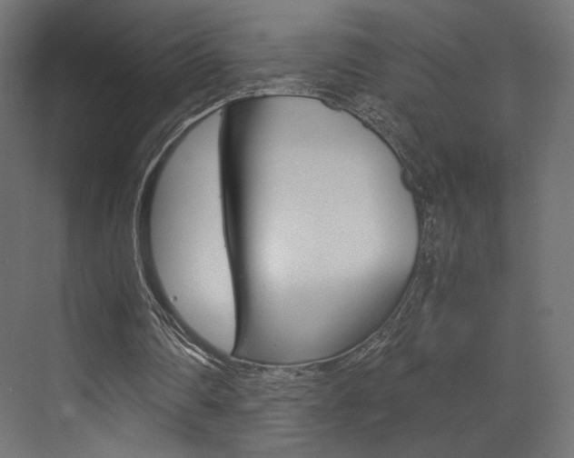 X0000073530290200607311022
