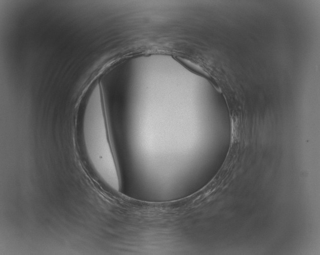 X0000073530291200607311022