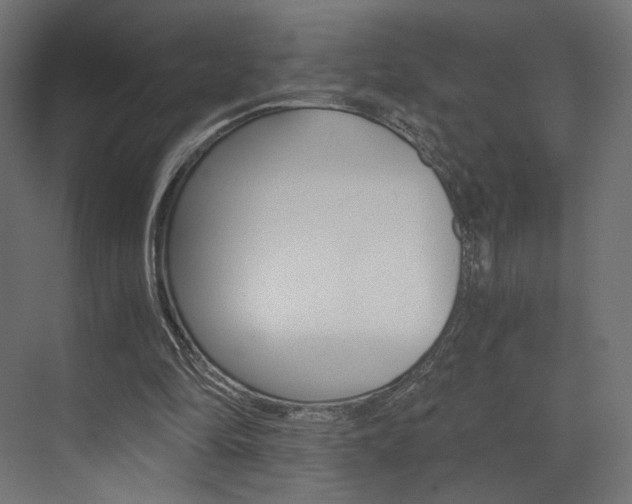 X0000073530294200607311022