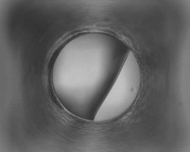 X0000073530295200607311022